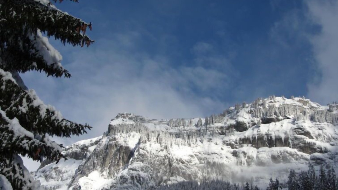 Photo of Others in Flims