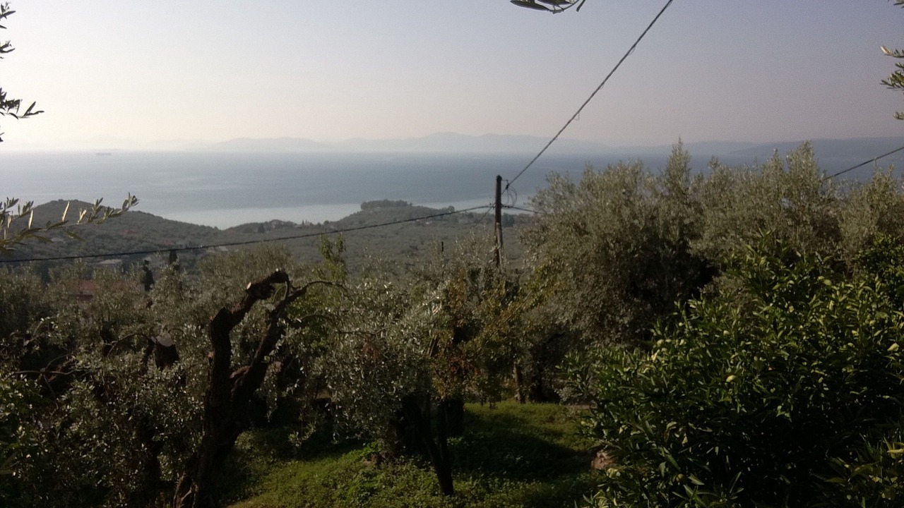 Photo of Outdoor in South Pelion