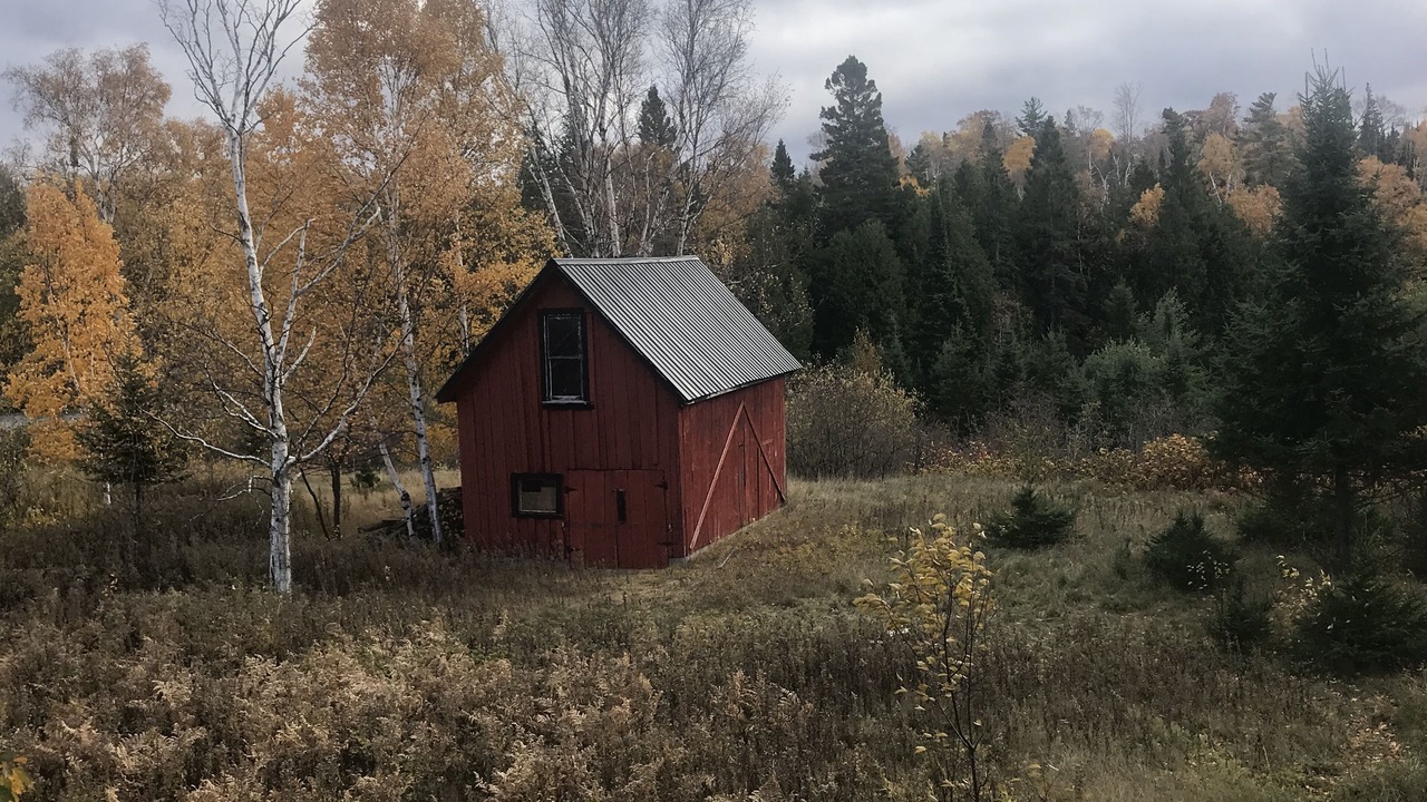 Photo of Outdoor in Eagle River