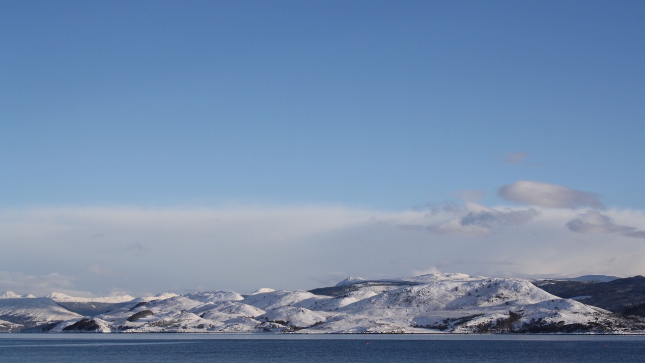 Photo of Others in Minard