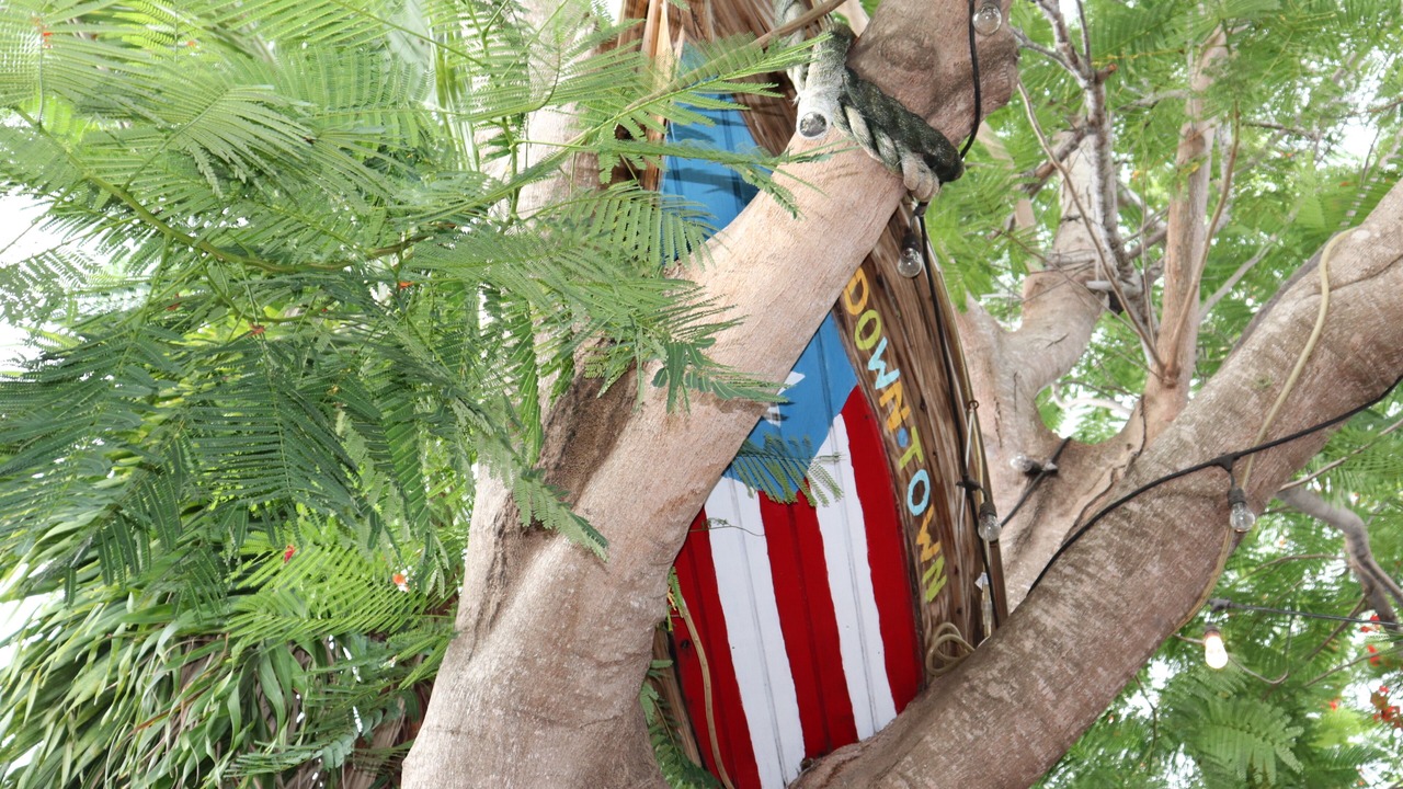 Photo of Outdoor in Boqueron