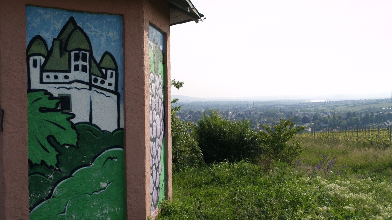 Photo of Outdoor in Walluf