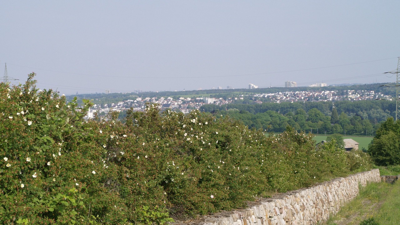 Photo of Others in Walluf