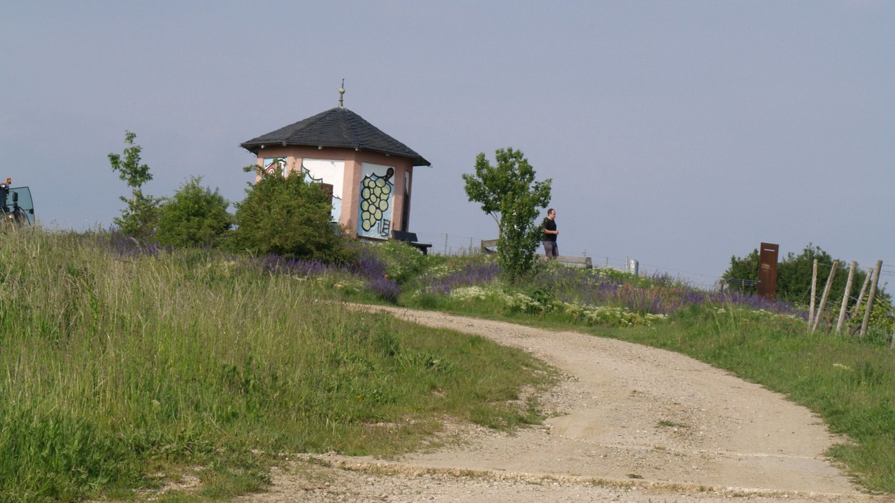 Photo of Others in Walluf