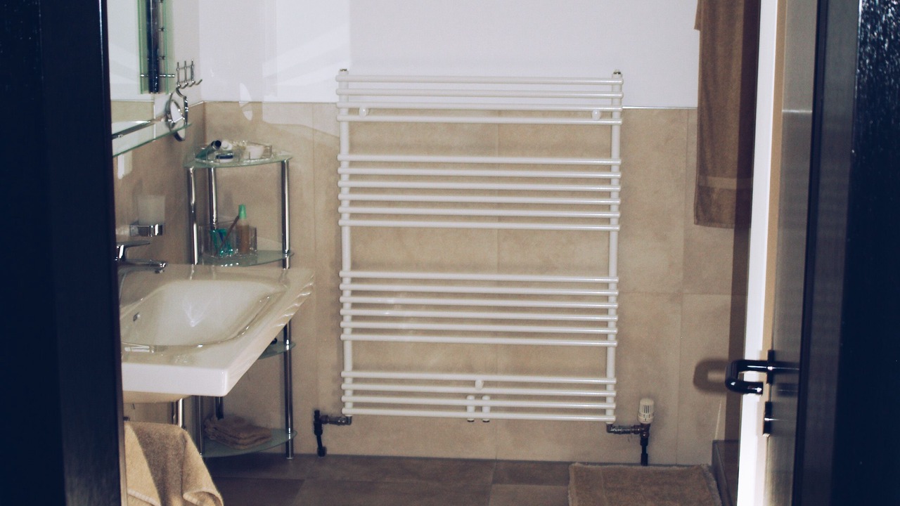 Photo of Bathroom in Walluf