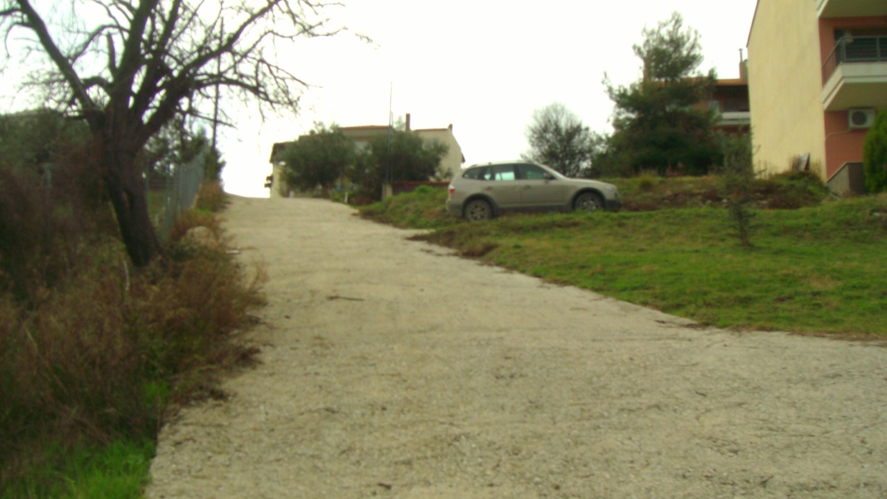 Photo of Others in Paliouri