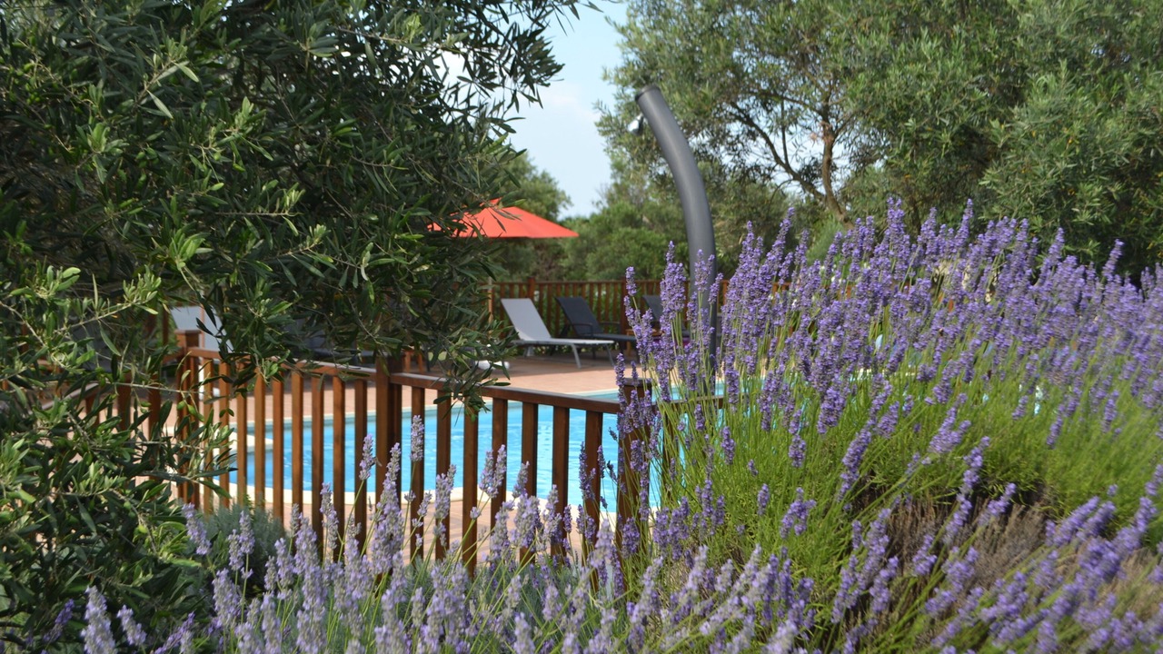 Photo of Outdoor in Marseillette