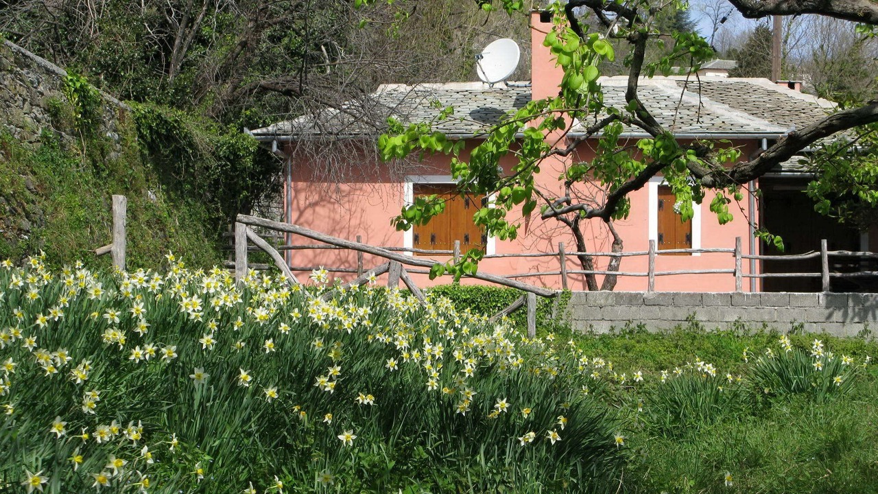 Photo of Outdoor in Tsagarada