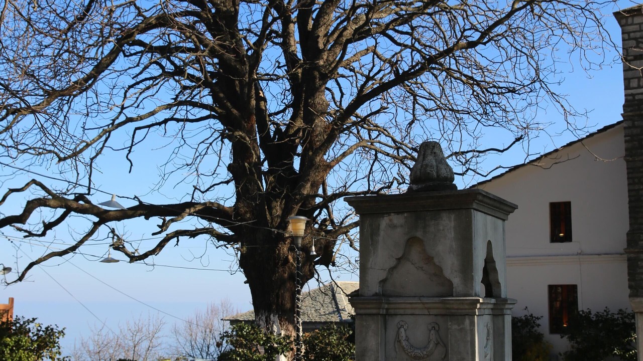 Photo of Outdoor in Tsagarada