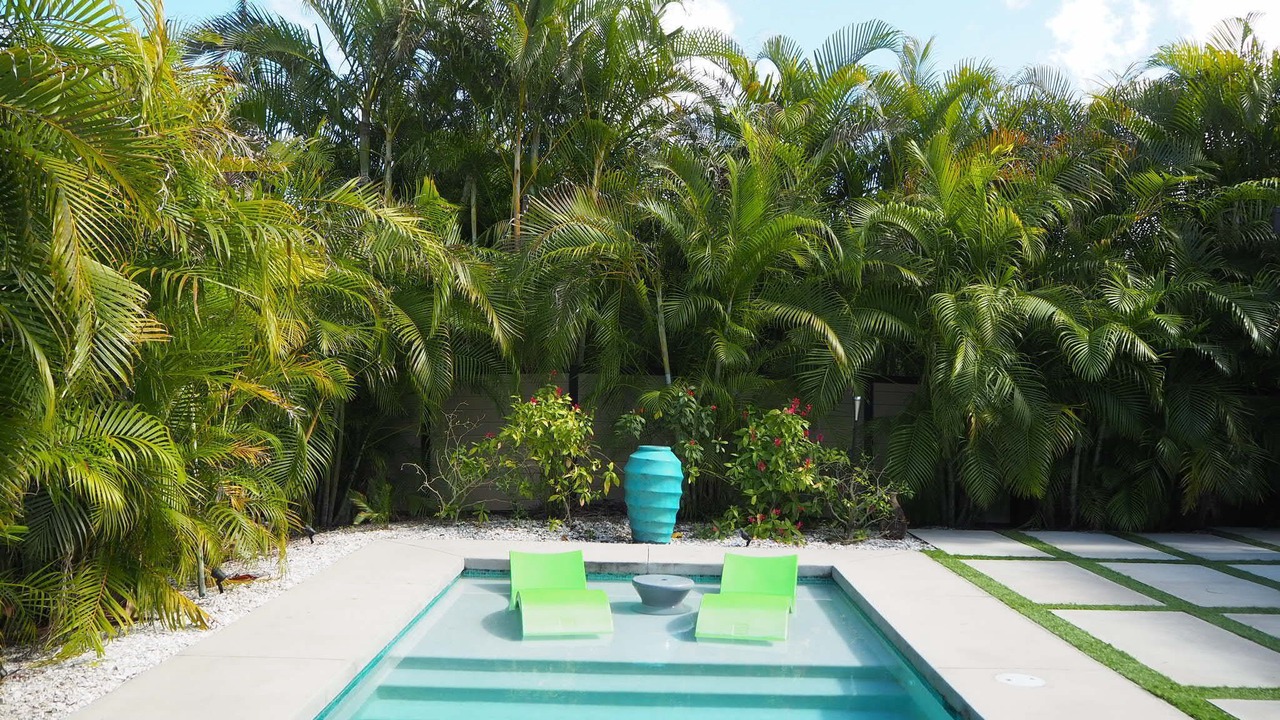 Photo of Outdoor in Alta Vista