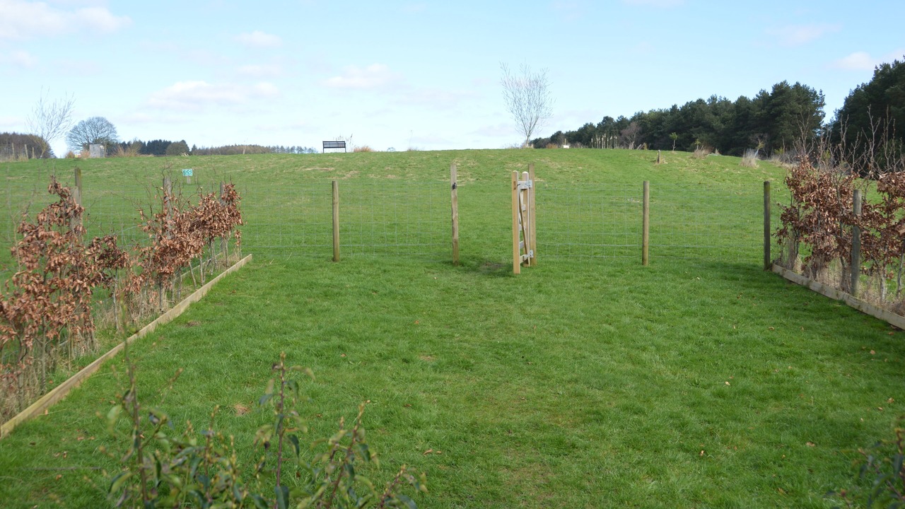 Photo of Outdoor in Pickering