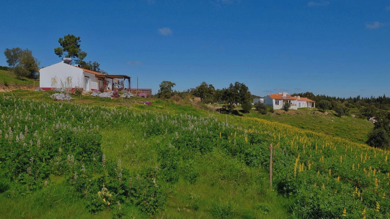 Photo of Outdoor in Sao Luis