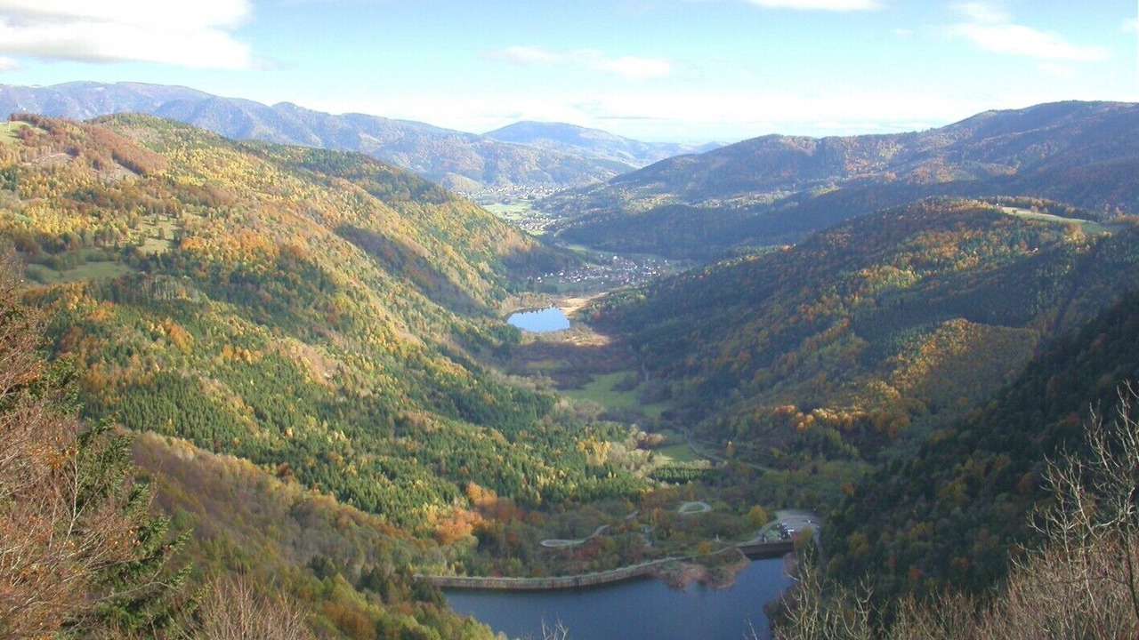 Photo of Others in Dolleren