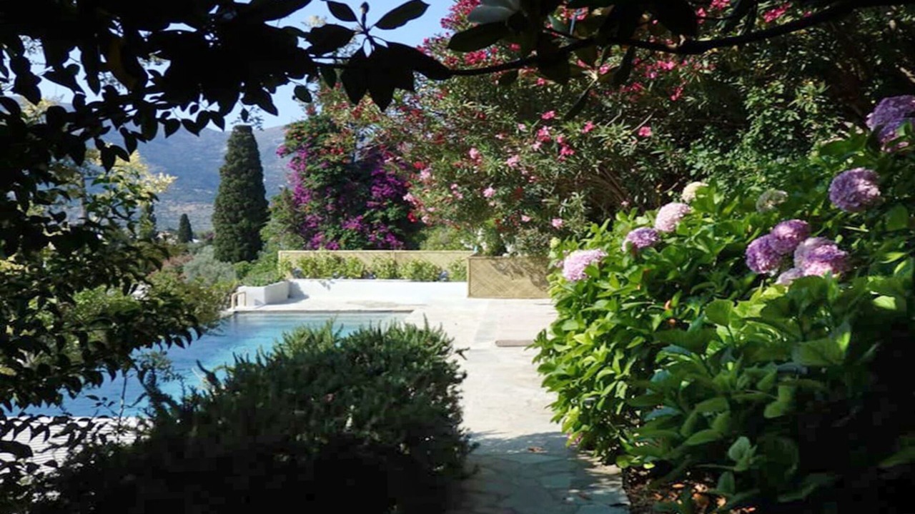 Photo of Outdoor in Andros Town