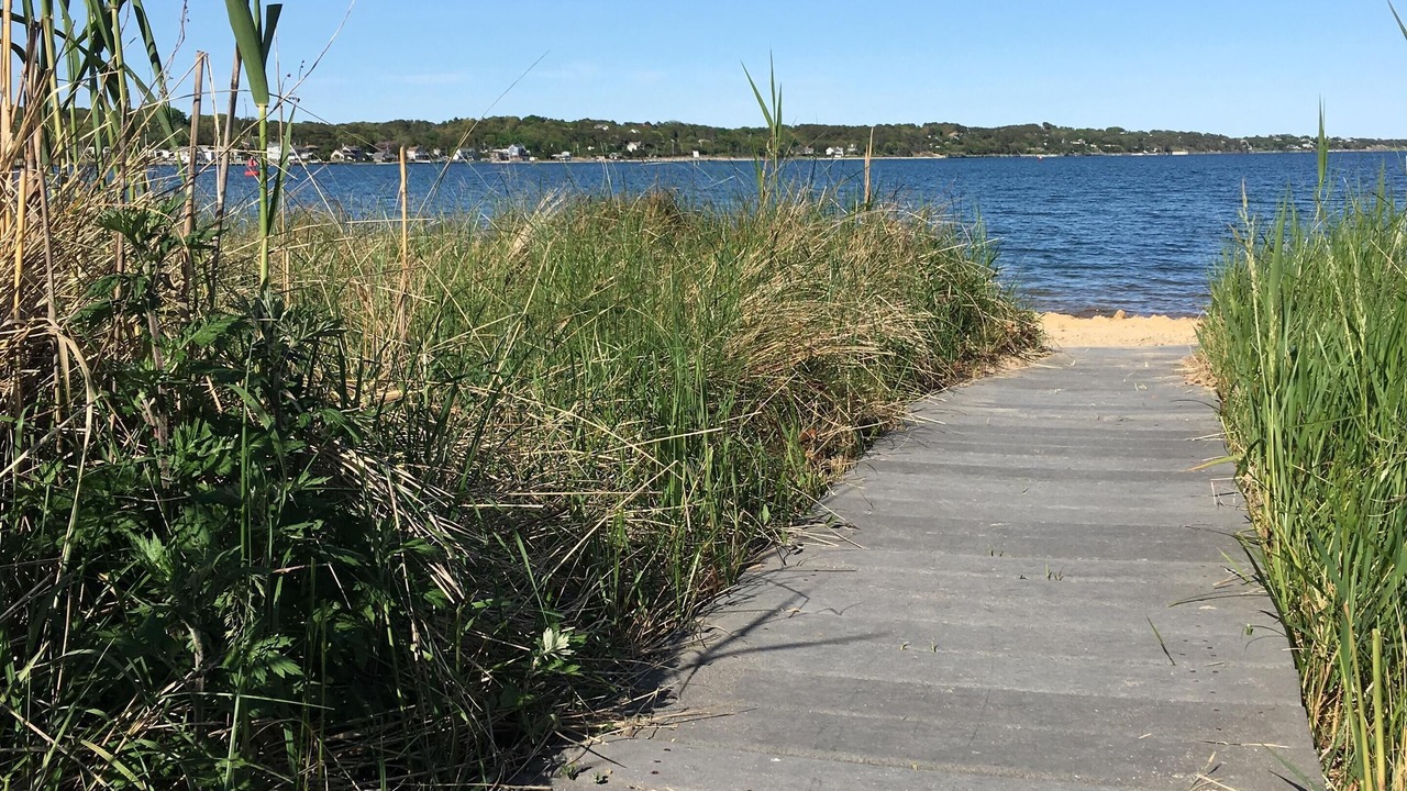 Photo of Others in Hampton Bays
