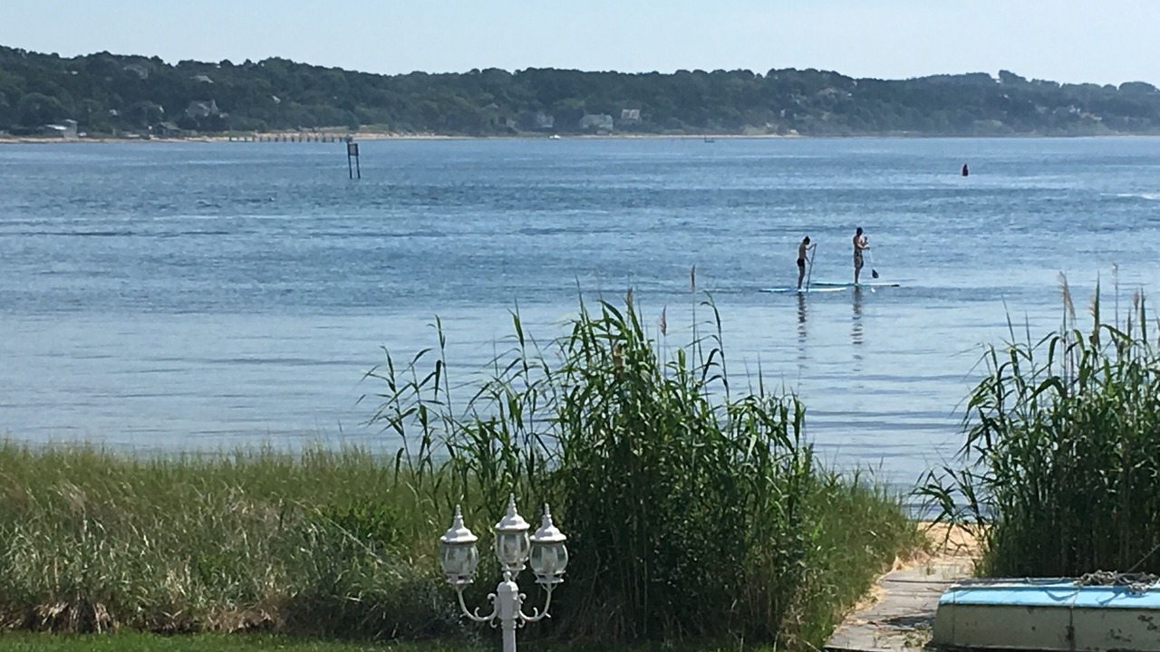 Photo of Others in Hampton Bays