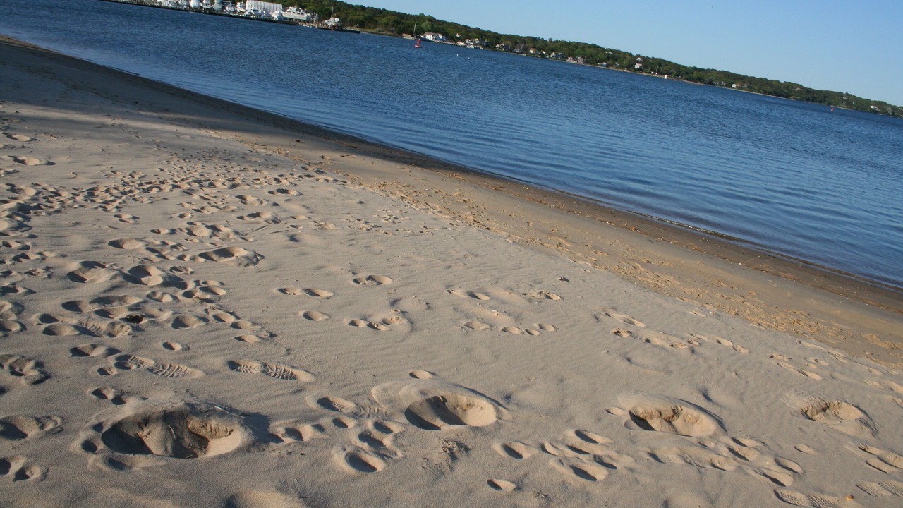 Photo of Others in Hampton Bays