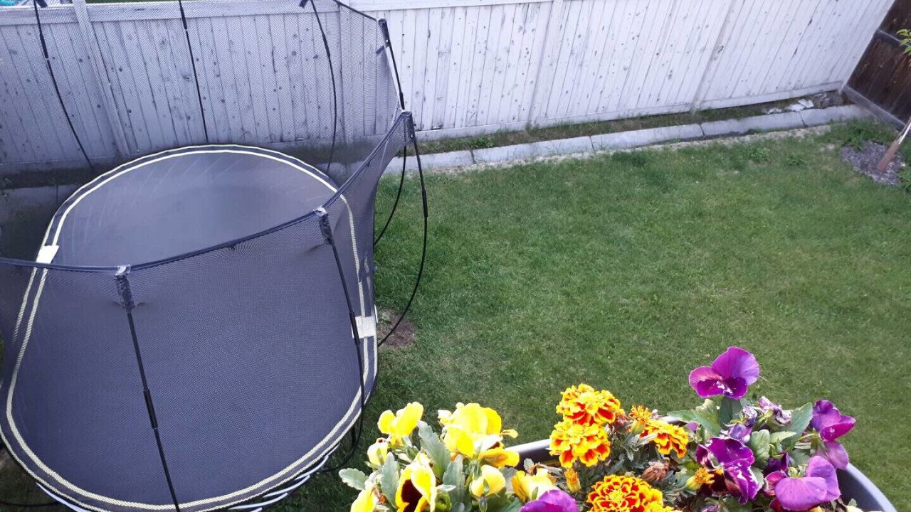 Photo of Outdoor in Calgary