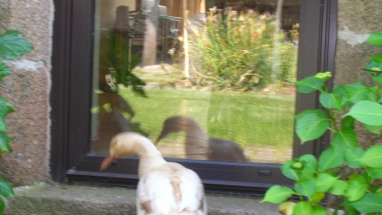 Photo of Outdoor in Taule