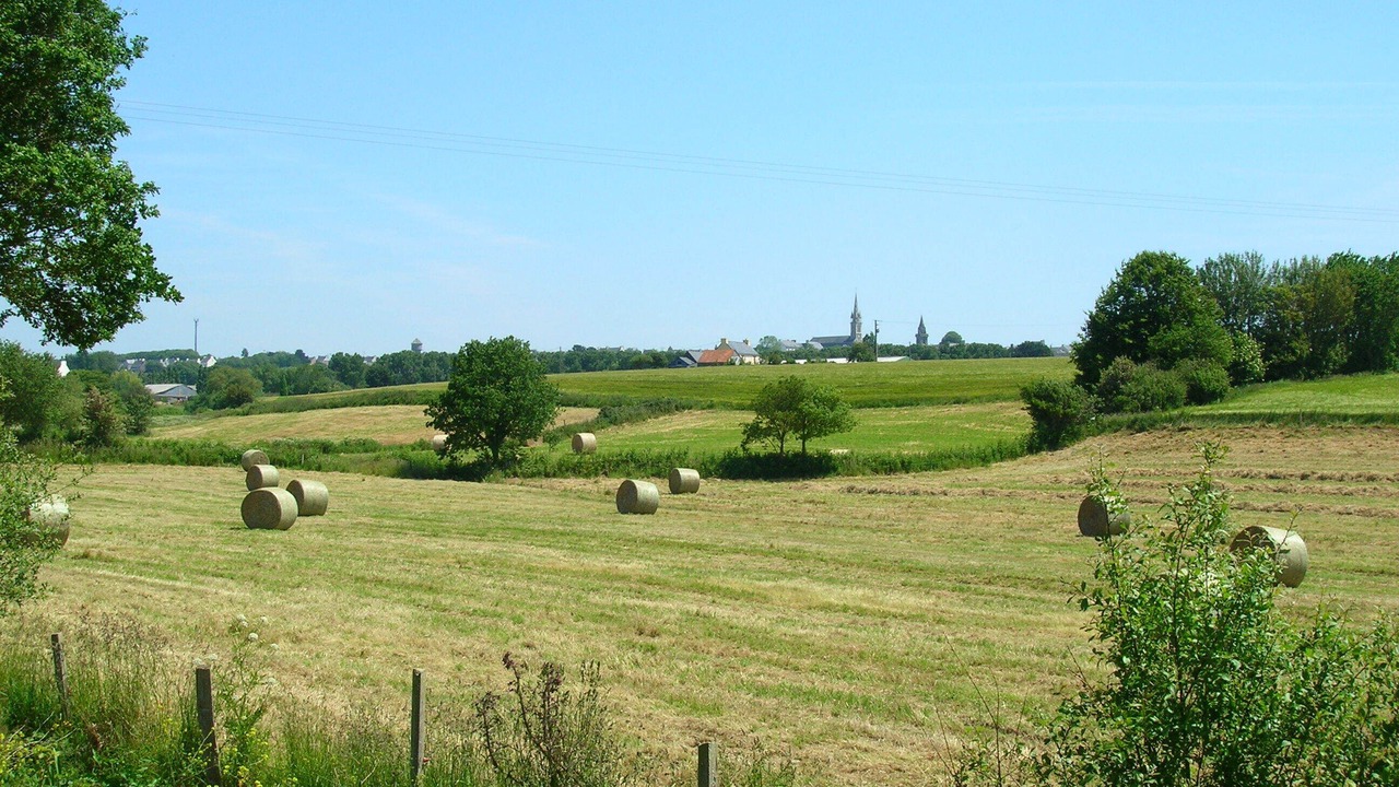 Photo of Others in Taule