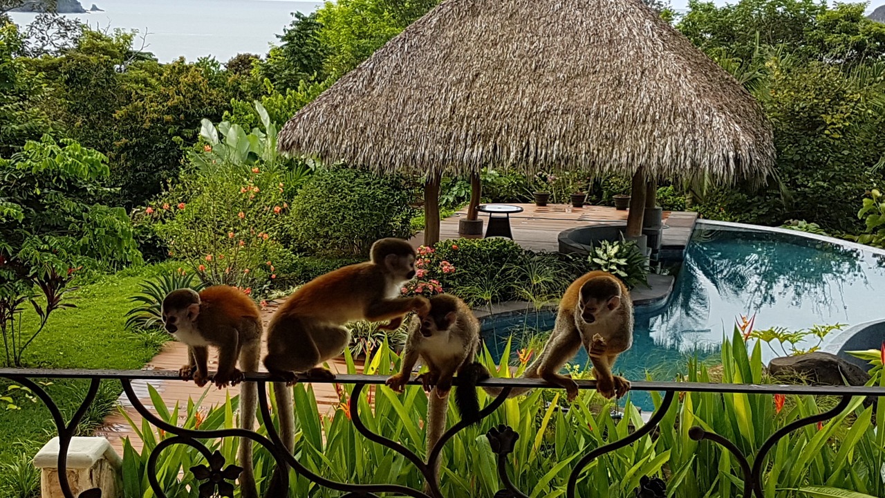 Photo of Others in Manuel Antonio