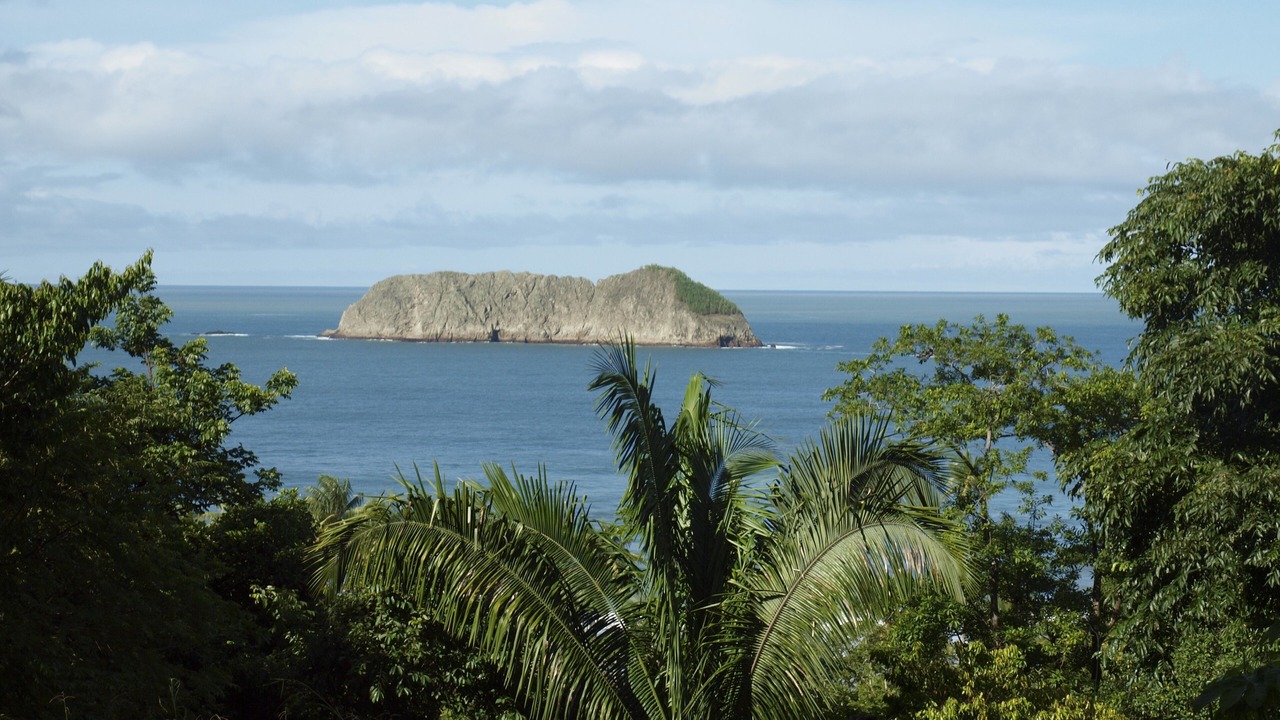 Photo of Others in Manuel Antonio
