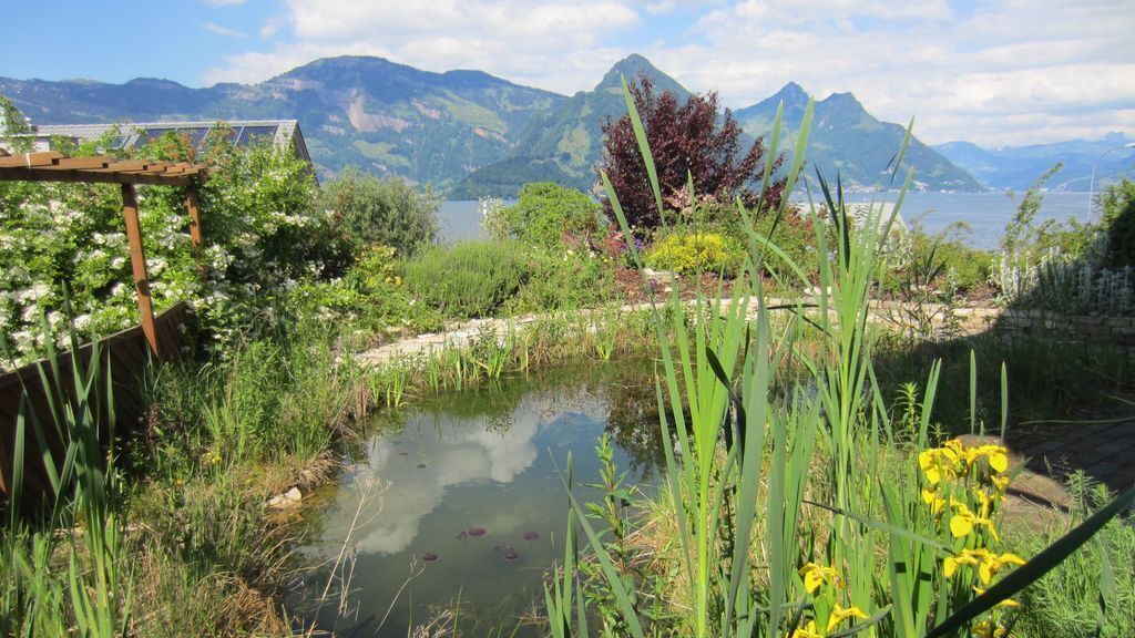 Photo of Outdoor in Buochs