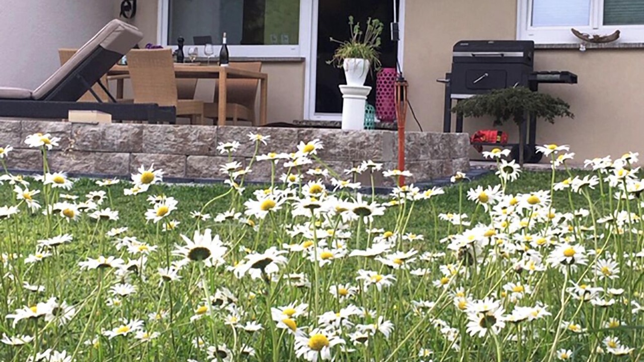 Photo of Outdoor in Albstadt