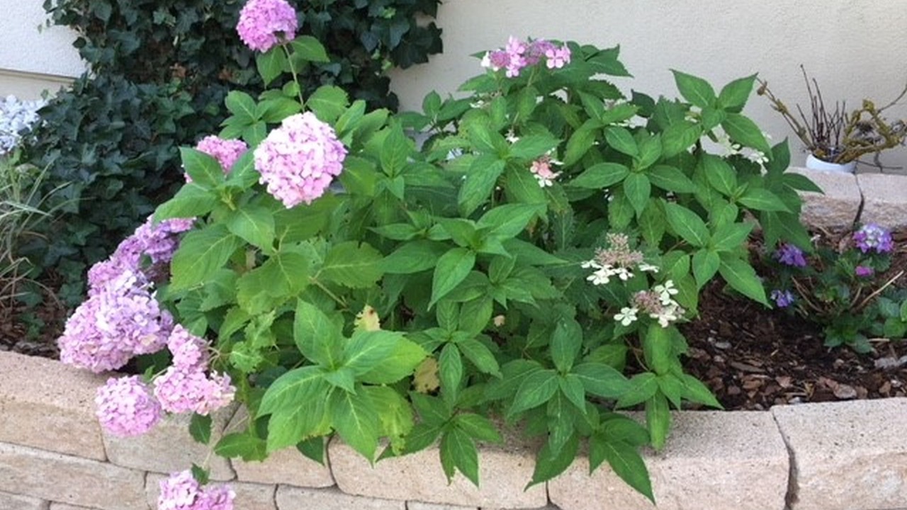 Photo of Outdoor in Albstadt