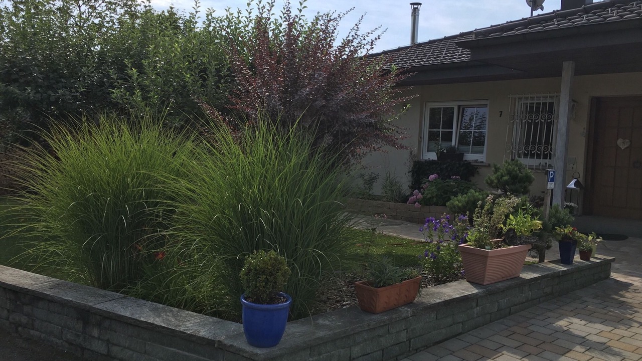 Photo of Outdoor in Albstadt