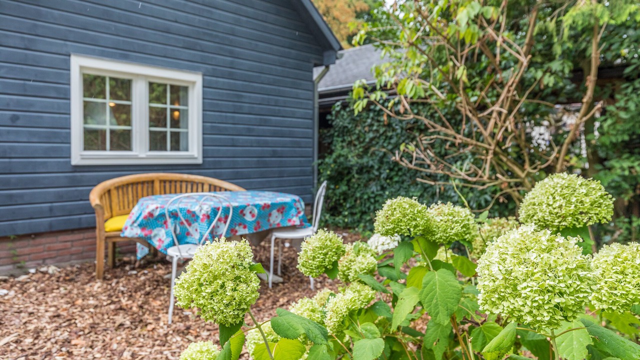 Photo of Outdoor in Den Dolder