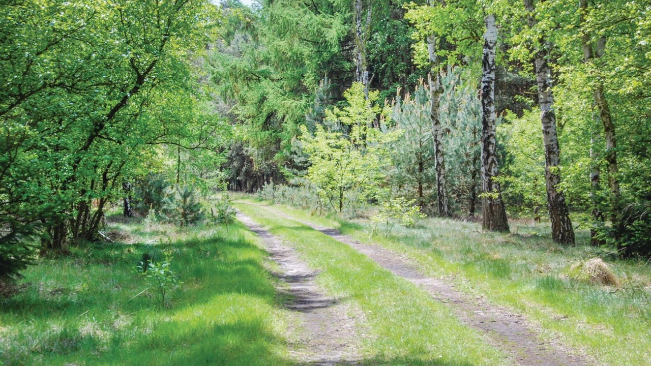 Photo of Others in Leende