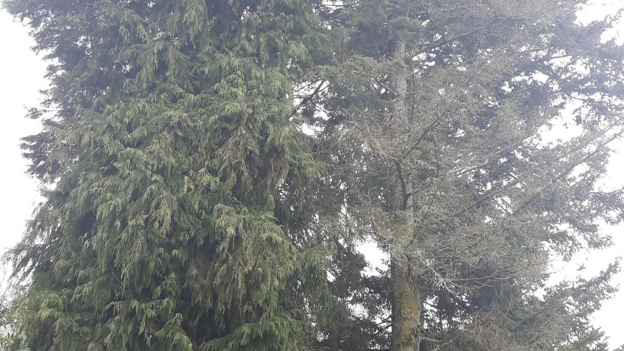 Photo of Outdoor in Meada