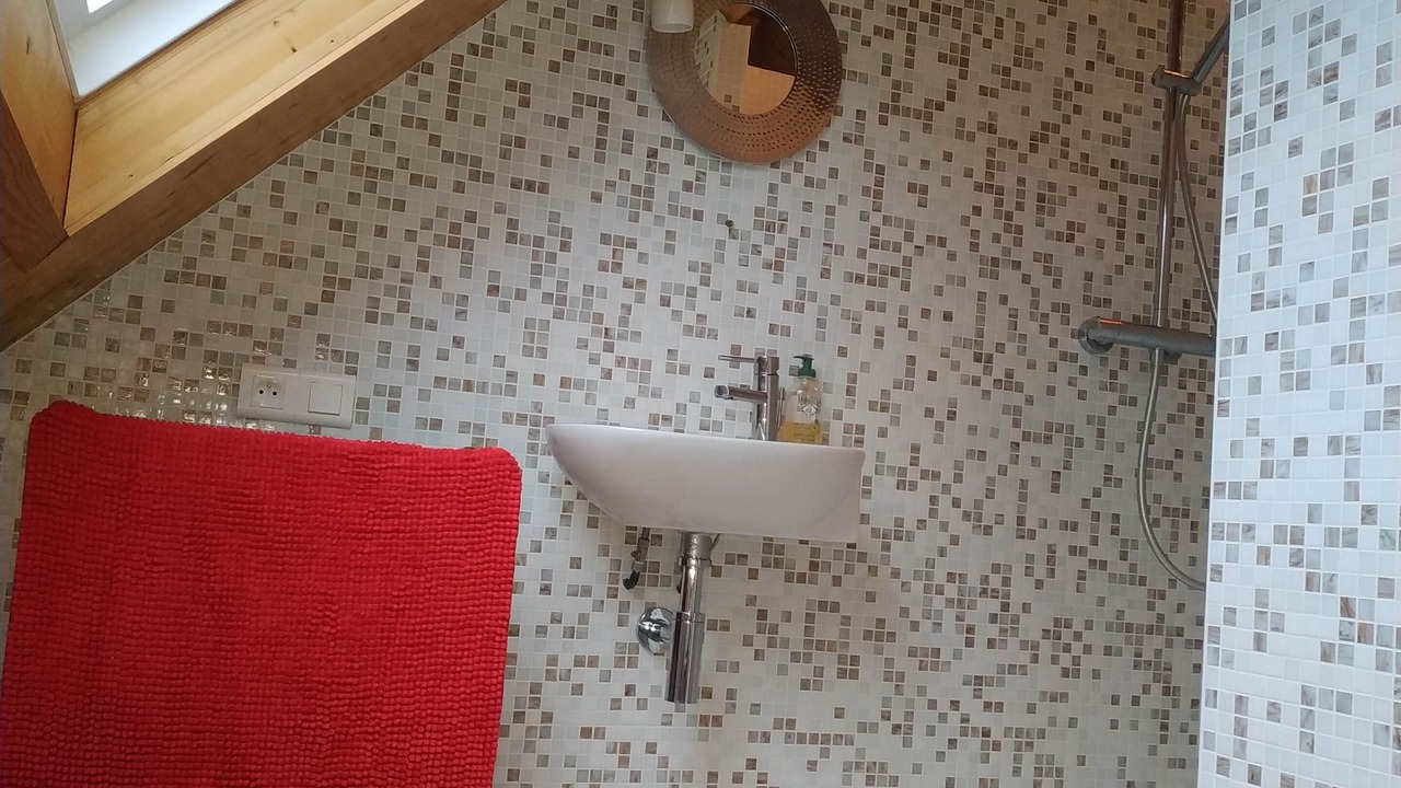 Photo of Bathroom in Monthou-sur-Bievre