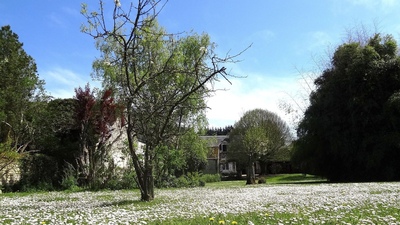 Photo of Outdoor in Villentrois