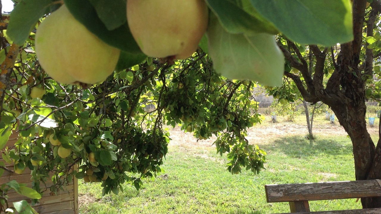 Photo of Outdoor in Nans-les-Pins