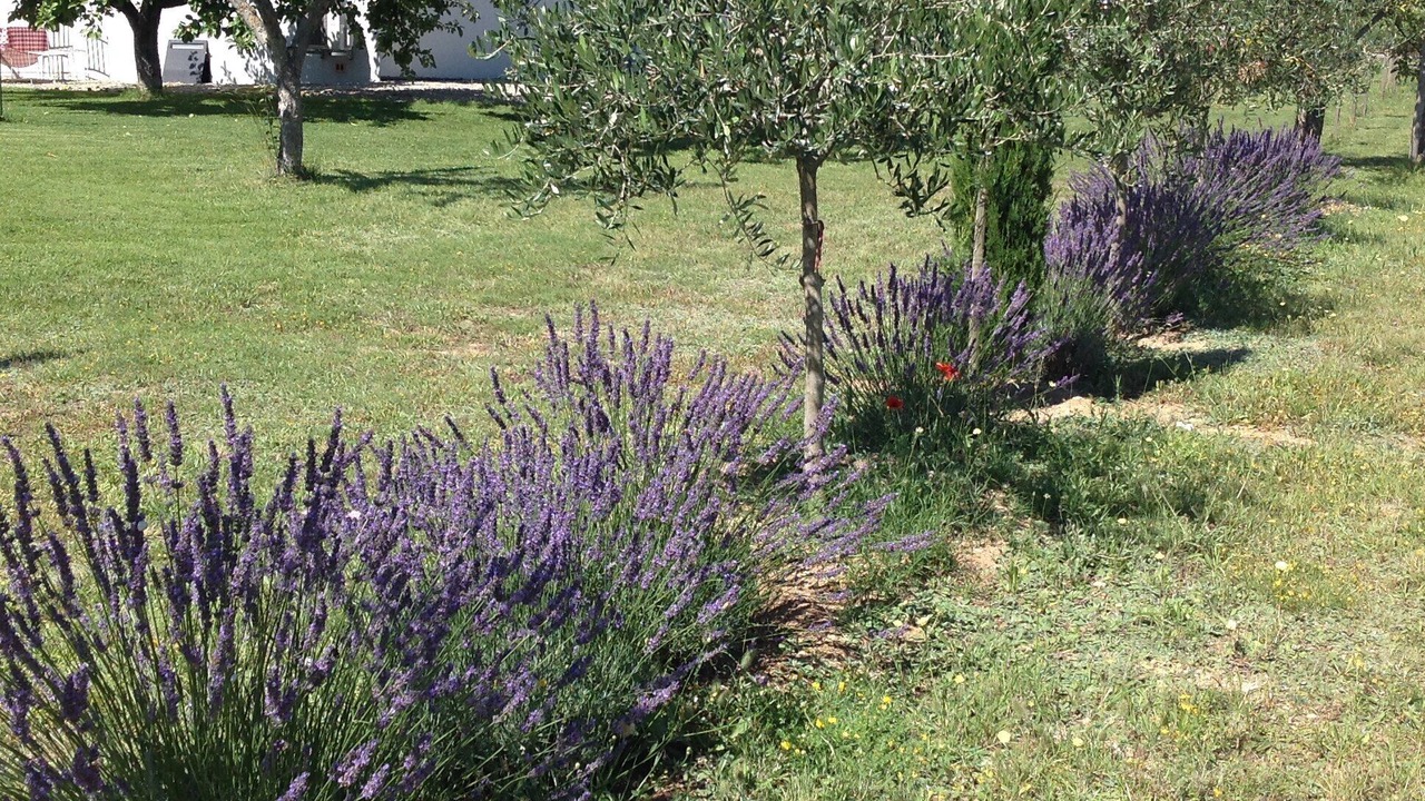 Photo of Outdoor in Nans-les-Pins
