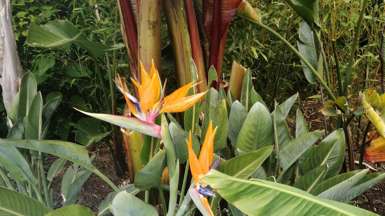 Photo of Outdoor in Montrichard Val de Cher
