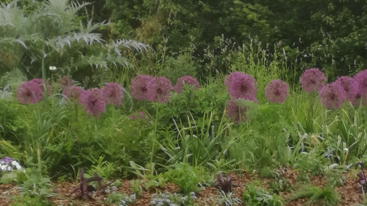 Photo of Outdoor in Montrichard Val de Cher