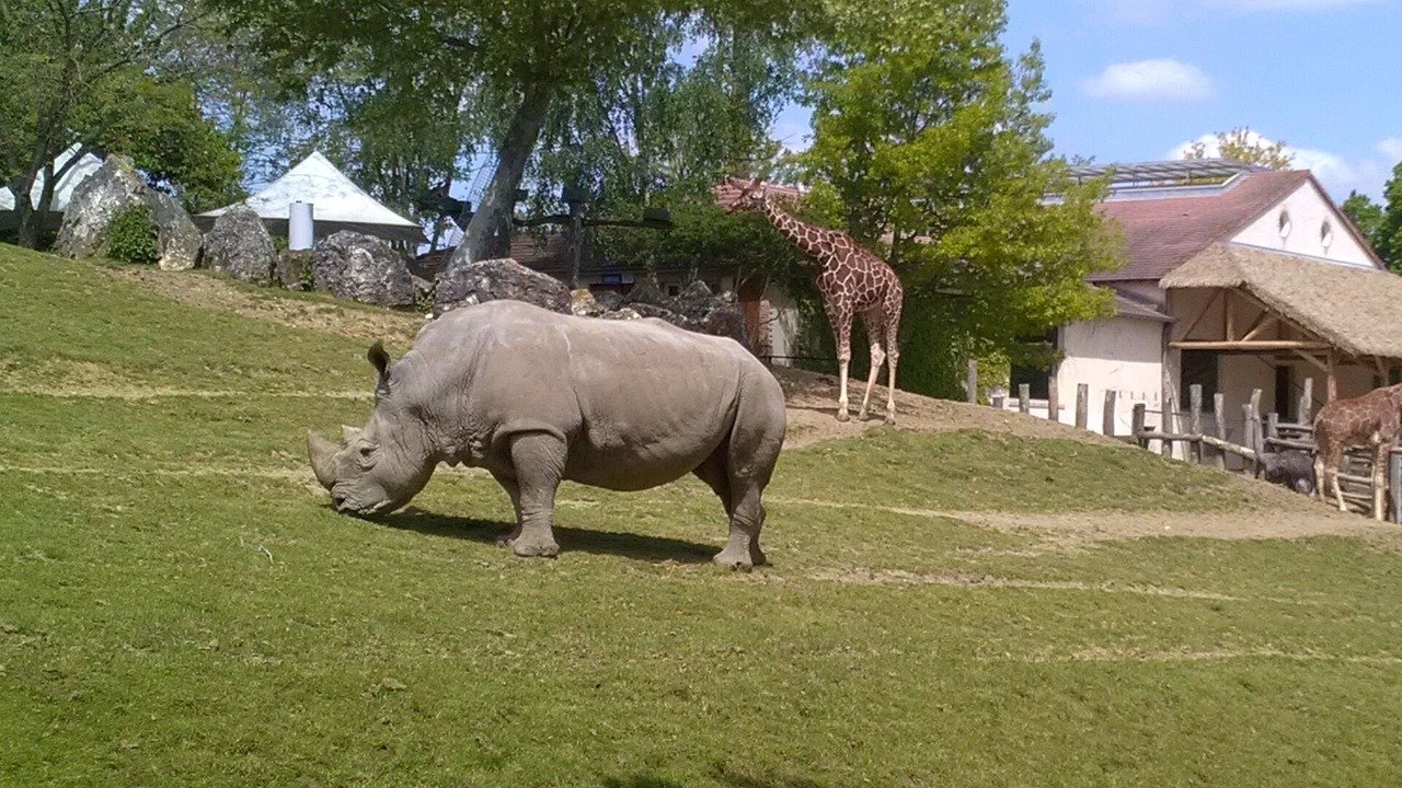 Photo of Outdoor in Montrichard Val de Cher