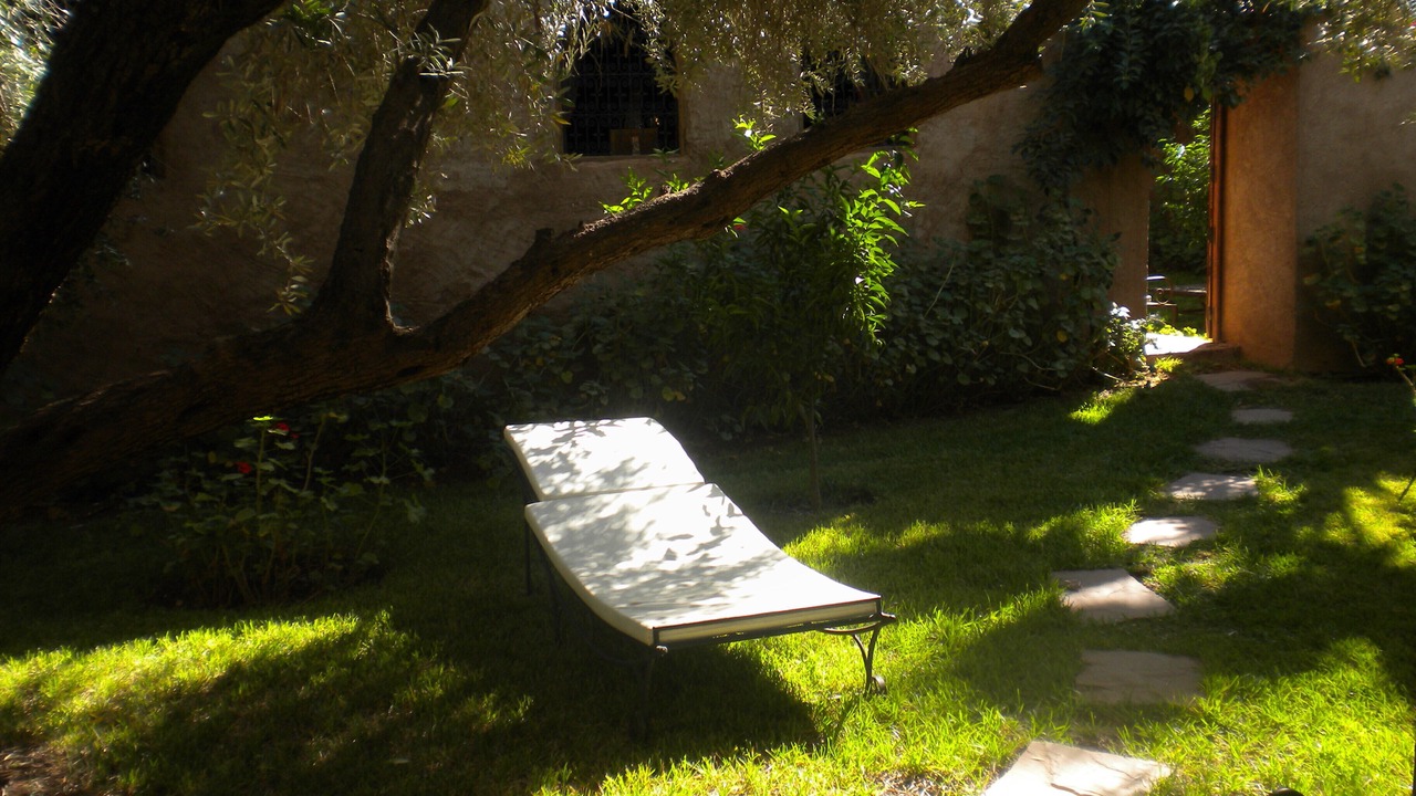 Photo of Outdoor in Marrakech