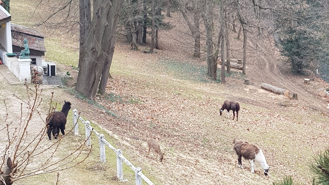 Photo of Outdoor in Oullins