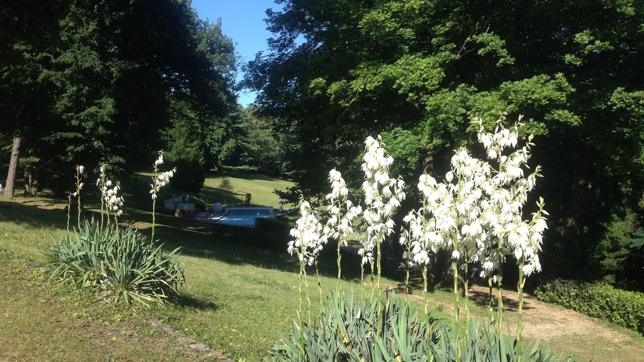 Photo of Outdoor in Oullins