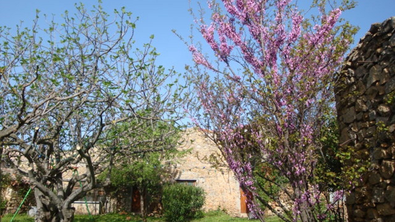 Photo of Outdoor in Durban-Corbieres