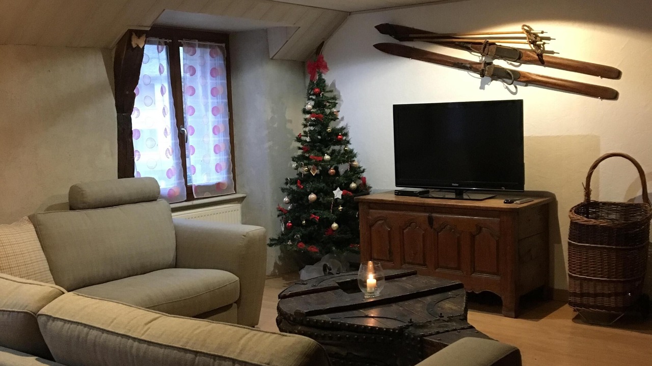 Photo of Livingroom in Orcival