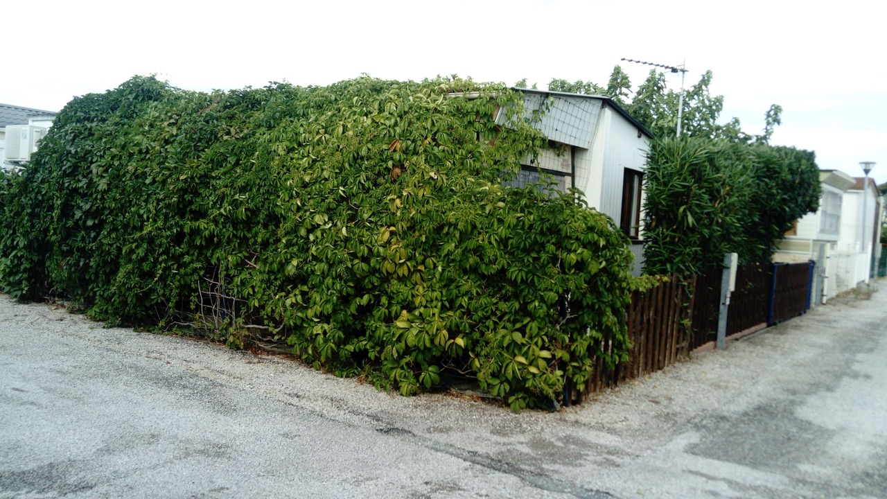 Photo of Outdoor in Sigean