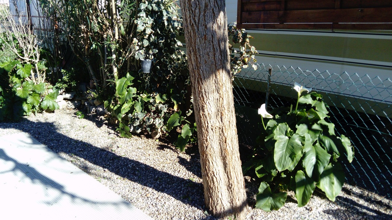 Photo of Outdoor in Sigean