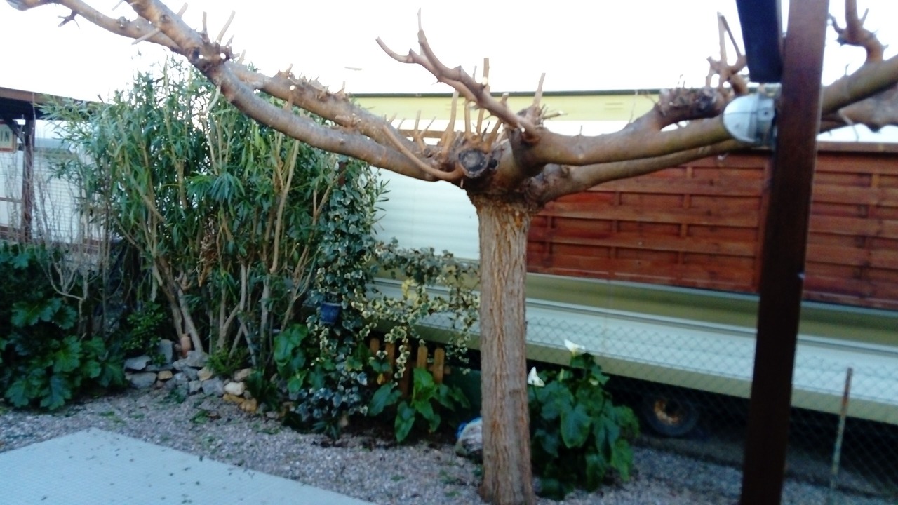 Photo of Outdoor in Sigean