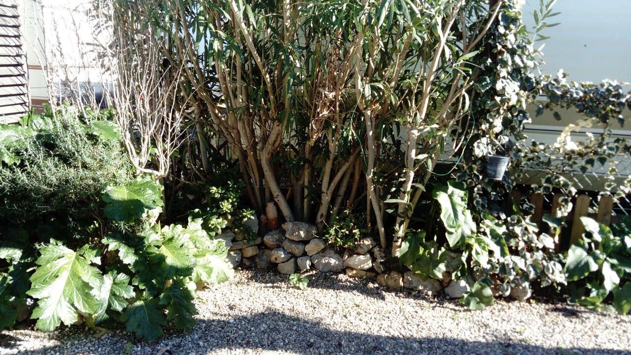 Photo of Outdoor in Sigean
