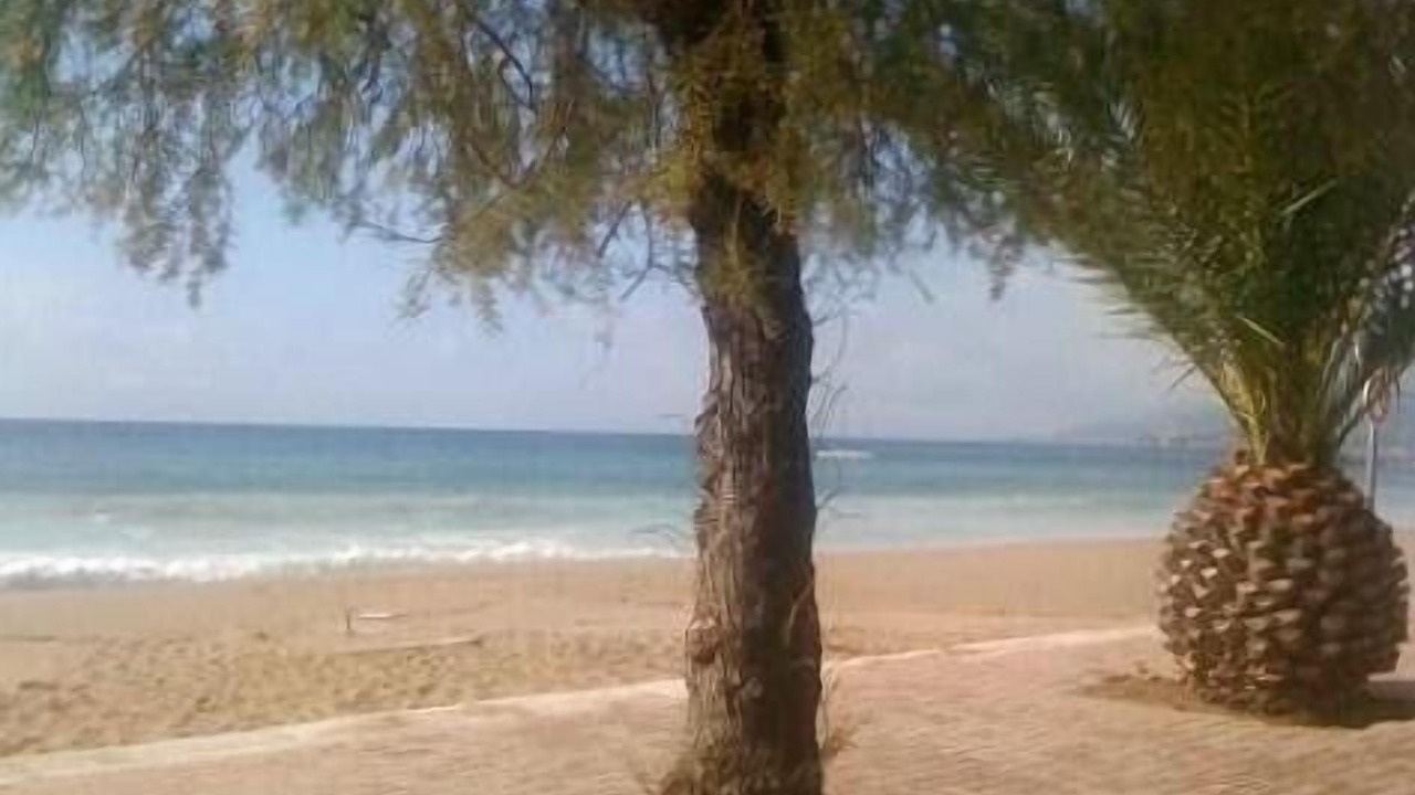 Photo of Others in Frejus Plage